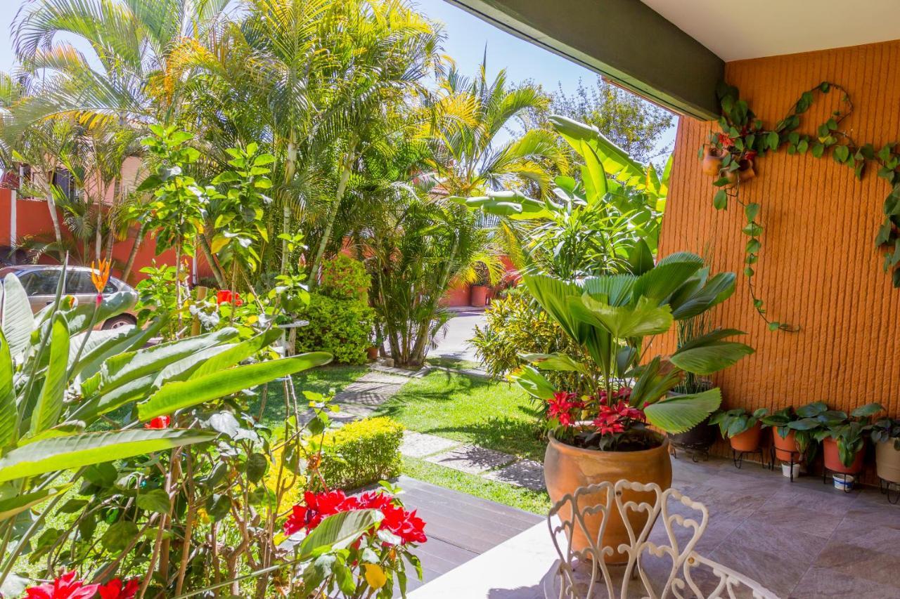 Casa De Las Palmas Guest House Oaxaca Εξωτερικό φωτογραφία