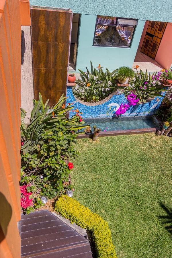 Casa De Las Palmas Guest House Oaxaca Εξωτερικό φωτογραφία