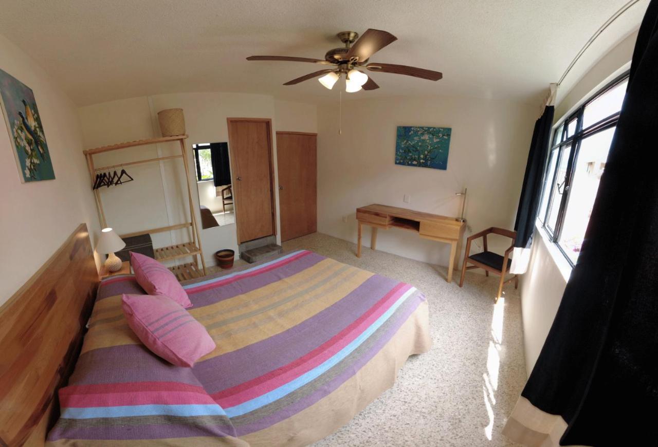 Casa De Las Palmas Guest House Oaxaca Εξωτερικό φωτογραφία