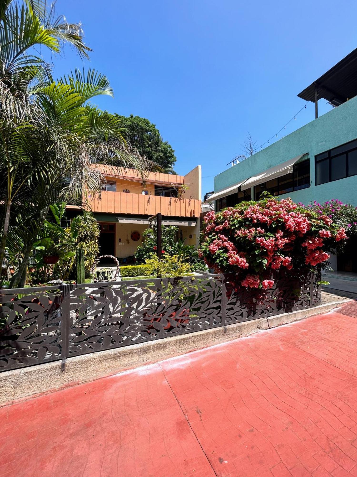 Casa De Las Palmas Guest House Oaxaca Εξωτερικό φωτογραφία