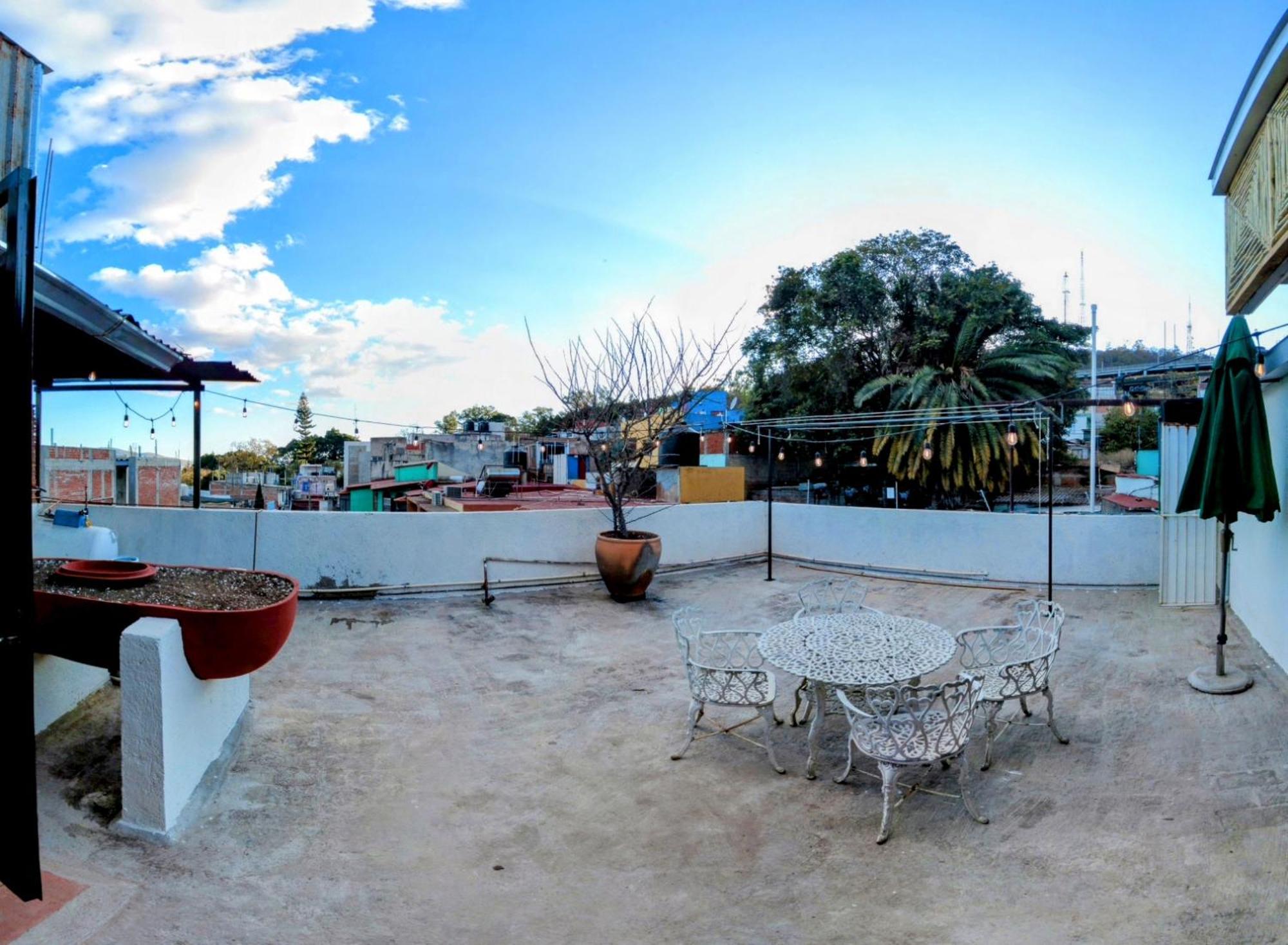 Casa De Las Palmas Guest House Oaxaca Εξωτερικό φωτογραφία